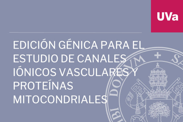 Foto de Gene Edition for the Study of Vascular Ionic Channels and Mitochondrial Proteins