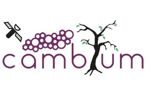 Foto de CAMBIUM